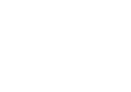 wella company logo