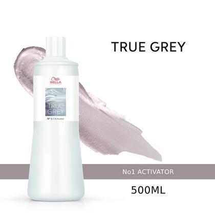 True Grey Activator 500ml