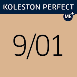 Koleston Perfect Me+  9/01