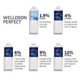 WELLOXON PERFECT 4,0%  1000ML