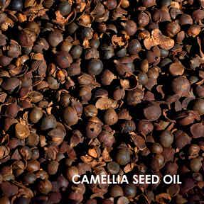 Camellia seed oil: one of weDo natural ingredients
