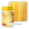 Color Fresh Create Future Yellow